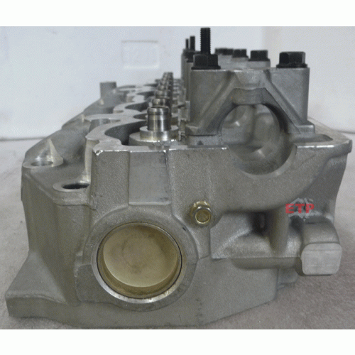 Cylinder Head for Mitsubishi 4D56 Above (Valves sit above the head face surface)