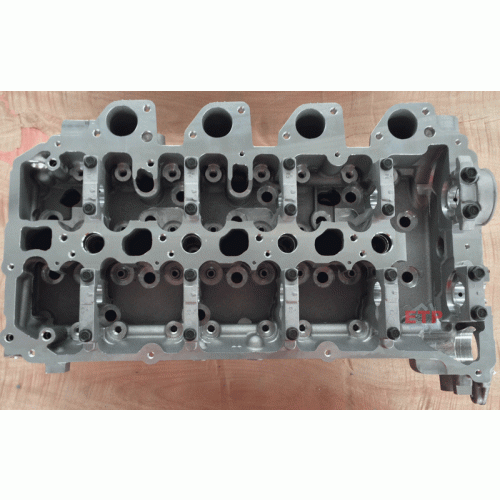 Cylinder Head for Mitsubishi 4D56U Common Rail Application